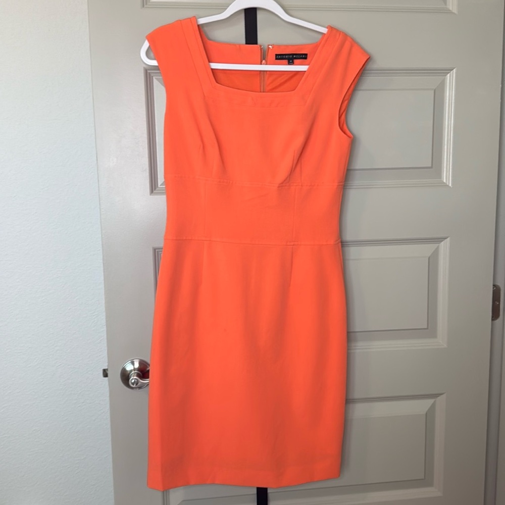Antonio Melani Dress